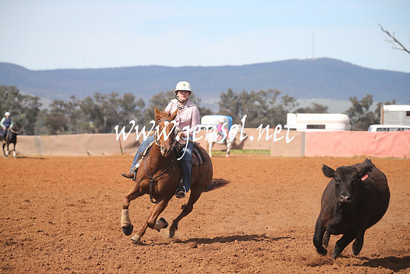 IllaboSat_0766