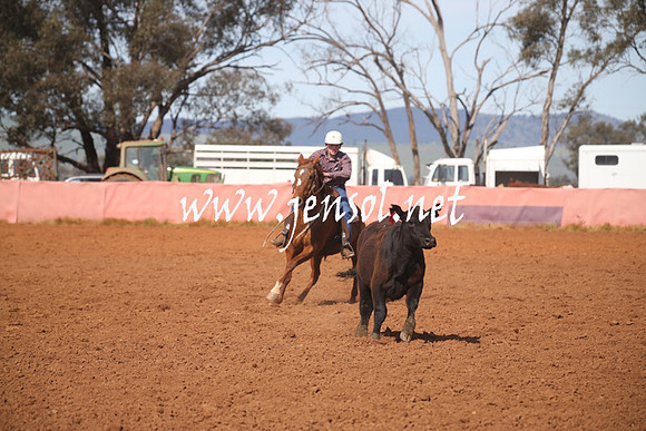 IllaboSat_0911