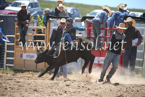 BungendoreRodeo2016-1366