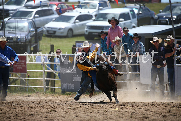 BungendoreRodeo2016-1389