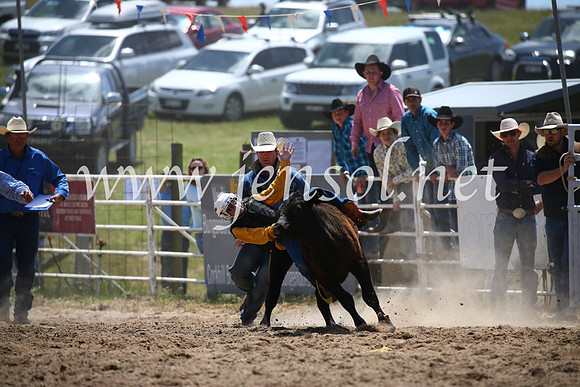 BungendoreRodeo2016-1390