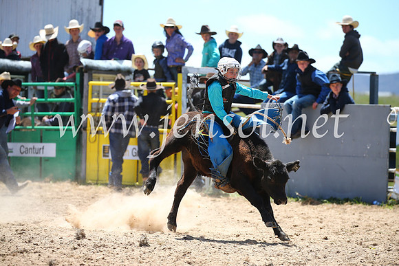 BungendoreRodeo2016-1404