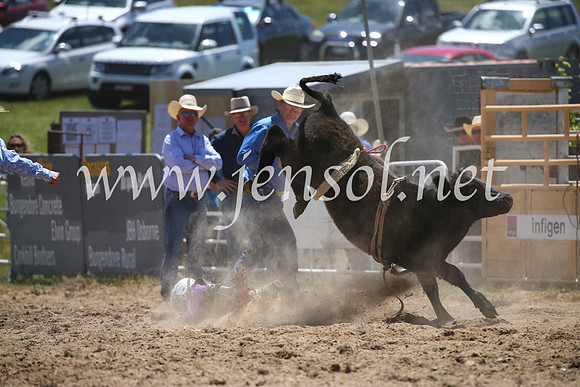 BungendoreRodeo2016-1421