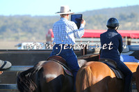 AdaminabyCampdraft2014_0696