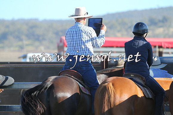 AdaminabyCampdraft2014_0696
