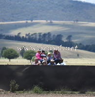 AdaminabyCampdraft2014_0293