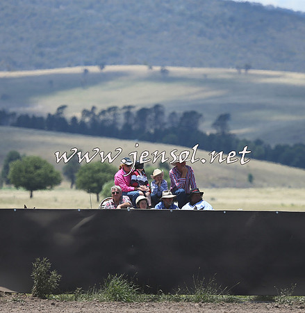 AdaminabyCampdraft2014_0293