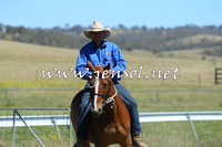 AdaminabyCampdraft2014_0928