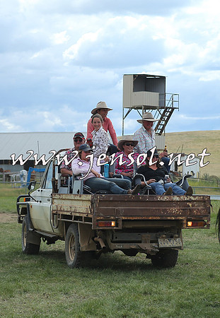AdaminabyCampdraft2014_1198