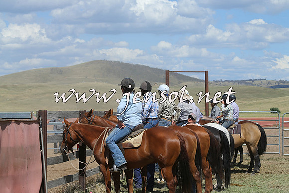 AdaminabyCampdraft2014_0525