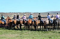 AdaminabyCampdraft2014_0717