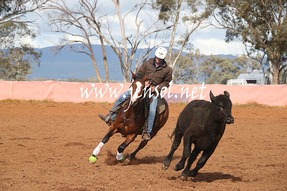 IllaboEncouragement_0151