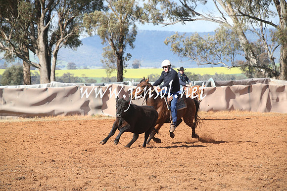 IllaboEncouragement_0189