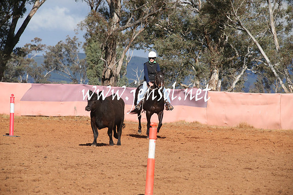 IllaboEncouragement_0157