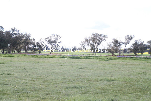 IllaboEncouragement_0058