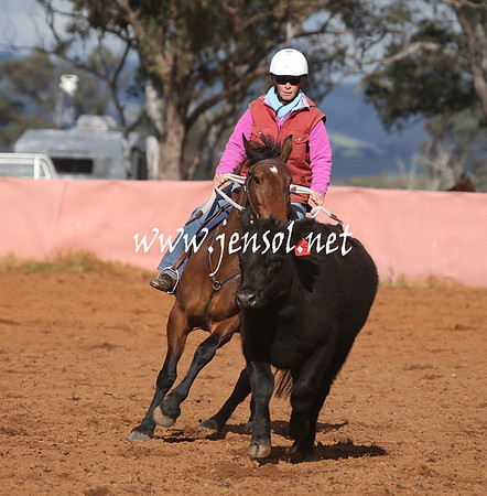 IllaboEncouragement_0122