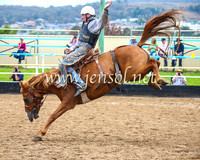 GoulburnRodeo2014_0099