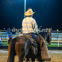 GoulburnRodeo2014_2326