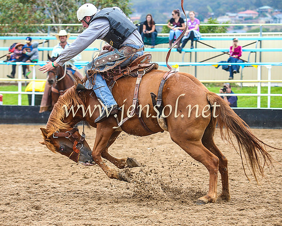 GoulburnRodeo2014_0112