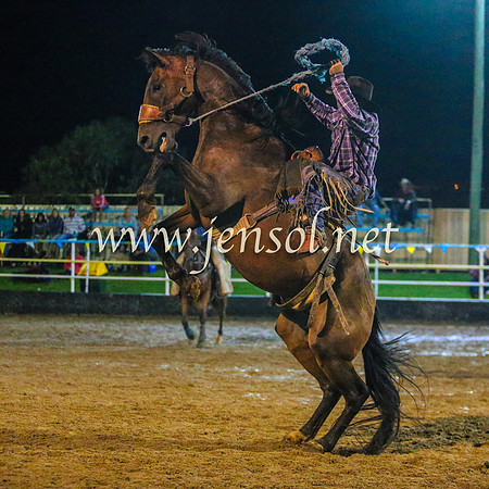 GoulburnRodeo2014_2361