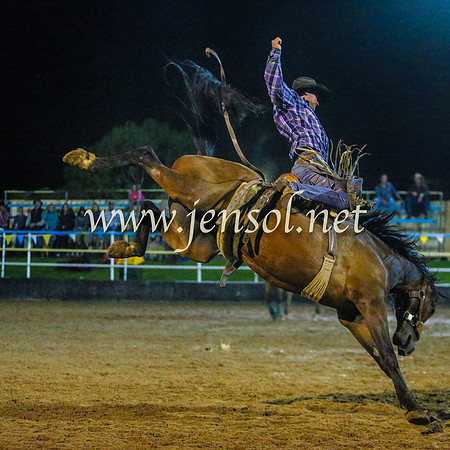 GoulburnRodeo2014_2347