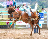 GoulburnRodeo2014_1605