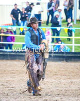GoulburnRodeo2014_1597