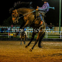GoulburnRodeo2014_2360