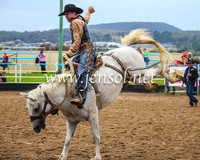 Broncs