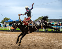 GoulburnRodeo2014_1170