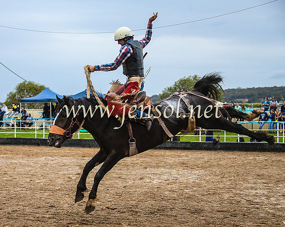 GoulburnRodeo2014_1170