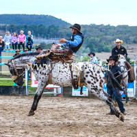 GoulburnRodeo2014_1572