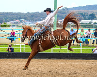 GoulburnRodeo2014_0090