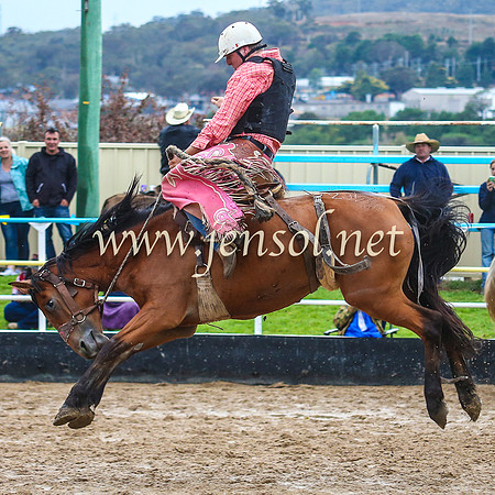 GoulburnRodeo2014_1177