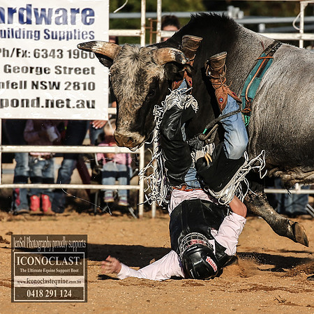 GrenfellRodeo2018_1947