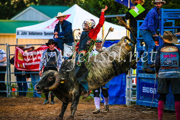 BraidwoodRodeo2017_3754