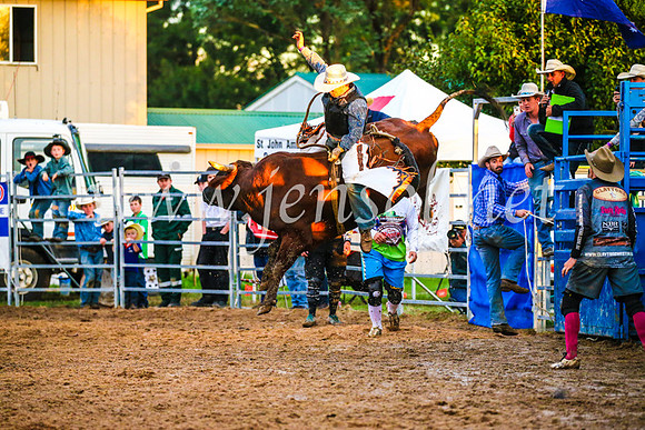 BraidwoodRodeo2017_3791