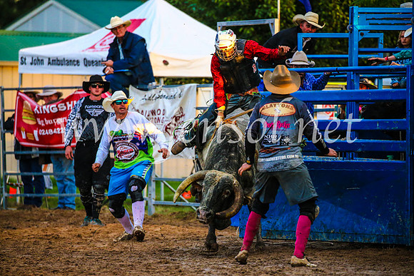 BraidwoodRodeo2017_3722