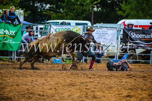 BraidwoodRodeo2017_2878