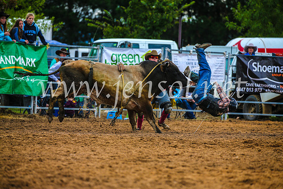 BraidwoodRodeo2017_2876