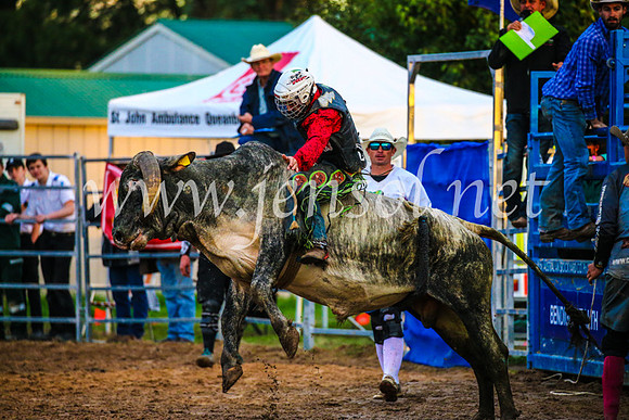 BraidwoodRodeo2017_3758
