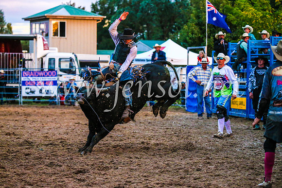 BraidwoodRodeo2017_3886