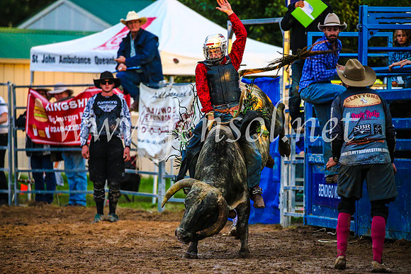 BraidwoodRodeo2017_3764