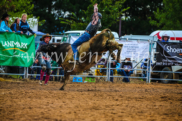 BraidwoodRodeo2017_2872