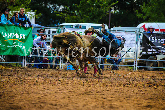 BraidwoodRodeo2017_2881