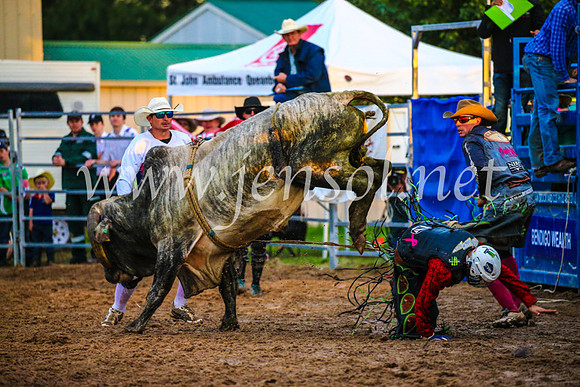 BraidwoodRodeo2017_3782