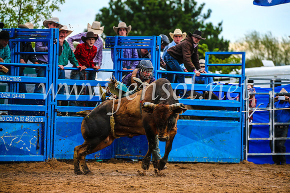 BraidwoodRodeo2017_2824