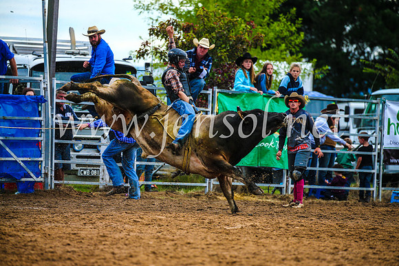 BraidwoodRodeo2017_2856