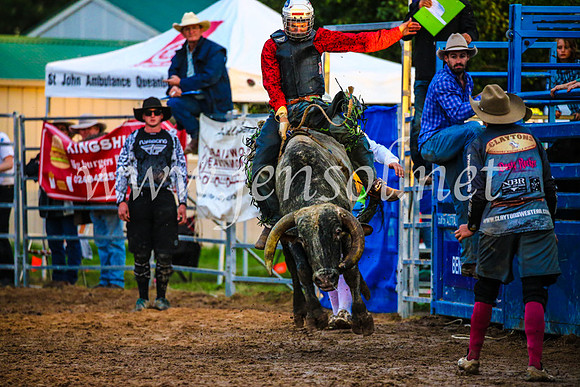 BraidwoodRodeo2017_3744
