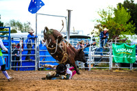 BraidwoodRodeo2017_2736